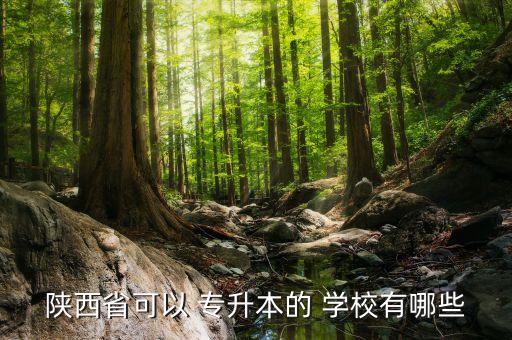 專升本西安有哪些學(xué)校,可跨省報(bào)考西安電大和西安交大
