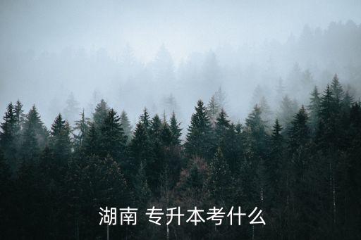 湖南2016專(zhuān)升本,成人專(zhuān)升本四種實(shí)現(xiàn)方式