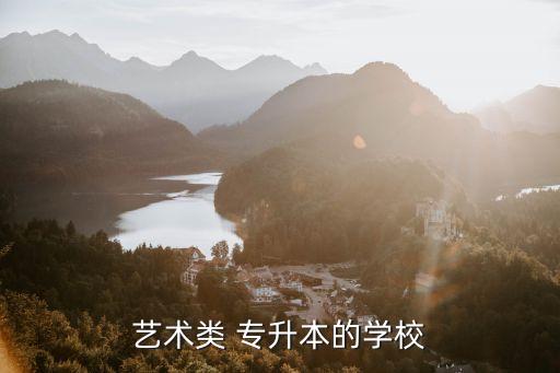 藝術(shù)類(lèi) 專(zhuān)升本的學(xué)校