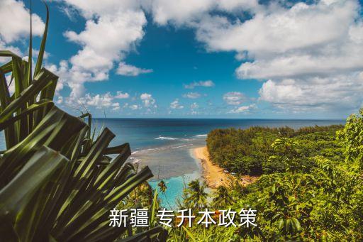 新疆專(zhuān)升本考什么時(shí)候開(kāi)始,新疆成人高考報(bào)名時(shí)間為8月20日