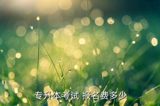 專升本昆明報名費,部分省市學校要求英語三級以上無不及格記錄