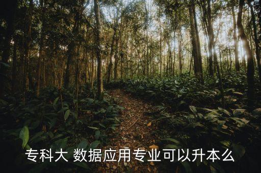 ?？拼?數(shù)據(jù)應(yīng)用專業(yè)可以升本么