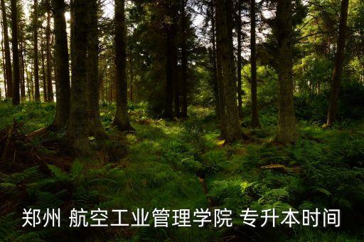 鄭州航空大學專升本錄取分數線,專升本申請資料有哪些?