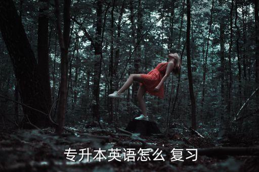  專升本英語(yǔ)怎么 復(fù)習(xí)