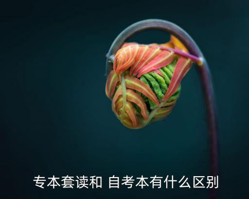 專本套讀和自考專升本的區(qū)別,自考本科和?？频臅遣灰粯拥?/></a></span><span id=