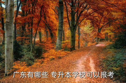  廣東有哪些 專升本學(xué)?？梢詧罂? class=