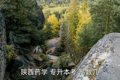 陜西藥學(xué) 專升本考 高數(shù)幾