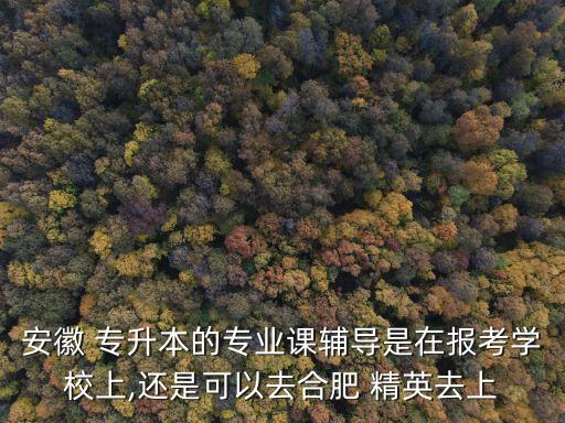 安徽 專升本的專業(yè)課輔導(dǎo)是在報考學(xué)校上,還是可以去合肥 精英去上