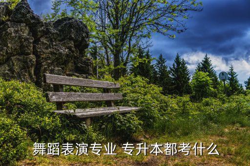  舞蹈表演專(zhuān)業(yè) 專(zhuān)升本都考什么
