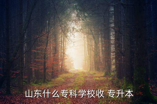  山東什么?？茖W(xué)校收 專升本