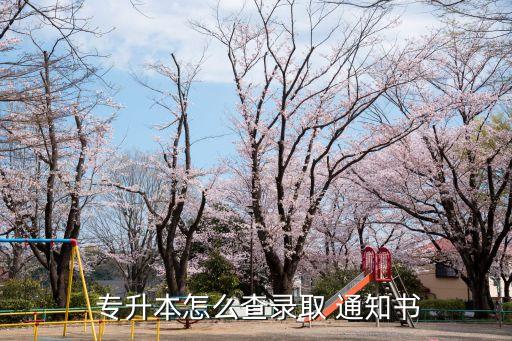  專(zhuān)升本怎么查錄取 通知書(shū)