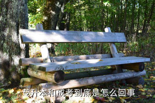 繼續(xù)教育和專(zhuān)升本,湖北的成人高考專(zhuān)升本是怎么一回事?
