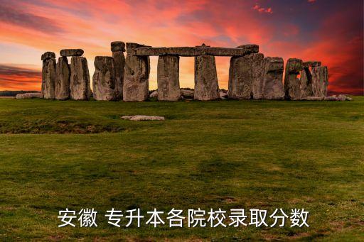  安徽 專(zhuān)升本各院校錄取分?jǐn)?shù)