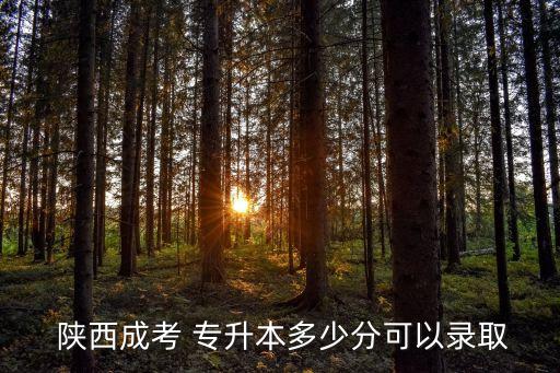  陜西成考 專(zhuān)升本多少分可以錄取