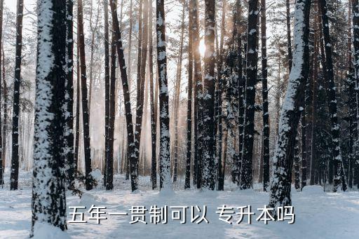 五年專能統(tǒng)招專升本嗎,五年專科生可參加普升本嗎?