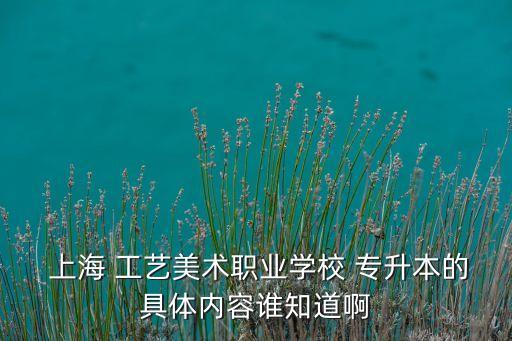 上海工藝美術(shù)專升本,上海取消專升本考試應(yīng)屆畢業(yè)生可自行報(bào)名