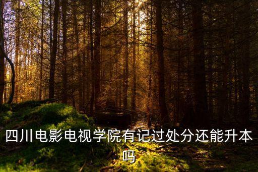 四川電影電視學院有記過處分還能升本嗎