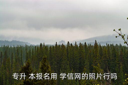  專升 本報名用 學信網(wǎng)的照片行嗎