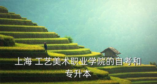  上海 工藝美術(shù)職業(yè)學(xué)院的自考和 專(zhuān)升本