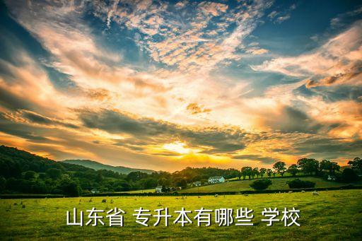  山東省 專升本有哪些 學校