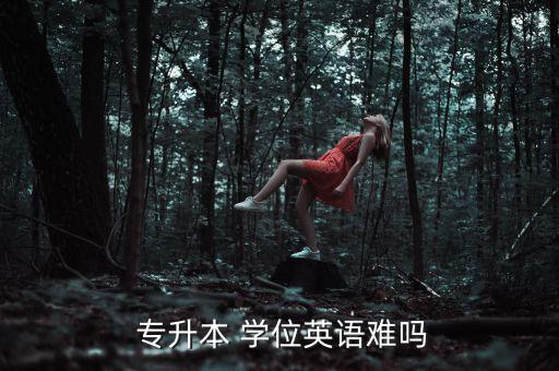  專(zhuān)升本 學(xué)位英語(yǔ)難嗎