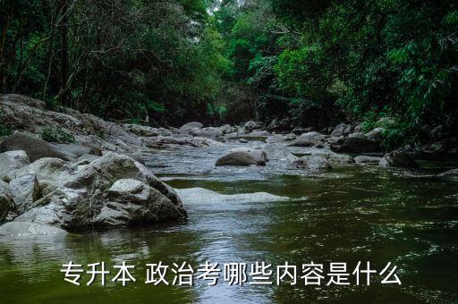  專升本 政治考哪些內(nèi)容是什么