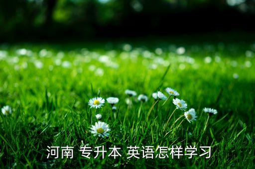 河南英語專升本語法,政治英語專業(yè)基礎課選擇題目有哪些?