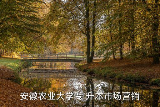 安徽農(nóng)業(yè)大學(xué)專 升本市場營銷