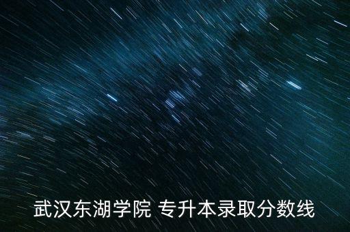 武漢東湖學院 專升本錄取分數(shù)線