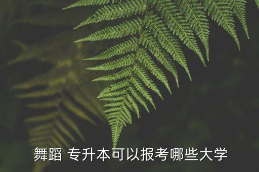  舞蹈 專(zhuān)升本可以報(bào)考哪些大學(xué)