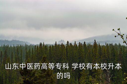山東中醫(yī)藥高等?？?學校有本校升本的嗎