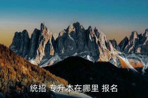 專升本報(bào)名要在哪報(bào)名,自考專升ben報(bào)名流程:1、2.報(bào)名