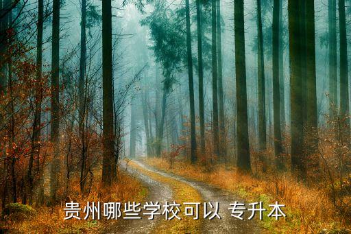 貴州哪些學(xué)校可以 專升本