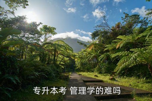  專升本考 管理學的難嗎