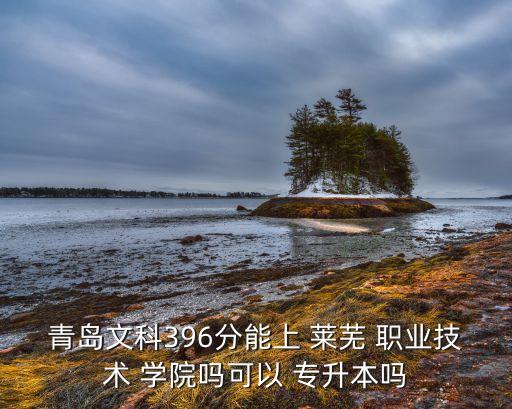 青島文科396分能上 萊蕪 職業(yè)技術(shù) 學(xué)院?jiǎn)峥梢?專升本嗎