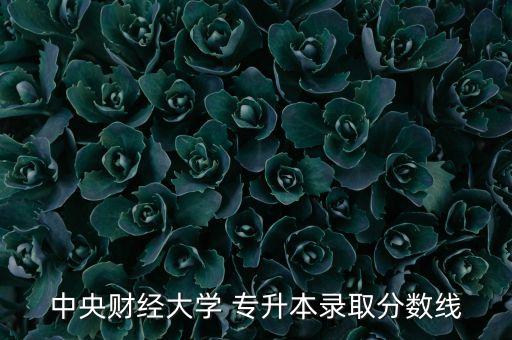 中央財經(jīng)大學(xué) 專升本錄取分數(shù)線