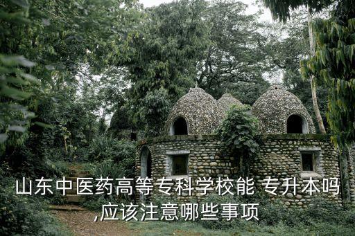 山東中醫(yī)藥高等?？茖W(xué)校能 專升本嗎,應(yīng)該注意哪些事項(xiàng)