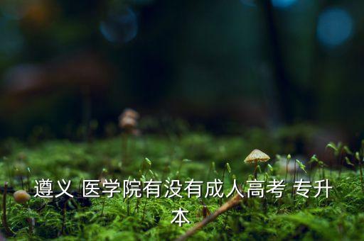  遵義 醫(yī)學(xué)院有沒(méi)有成人高考 專(zhuān)升本