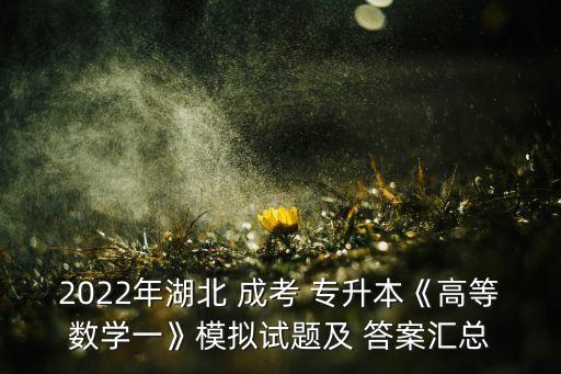 2022年湖北 成考 專升本《高等數(shù)學(xué)一》模擬試題及 答案匯總