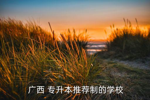 廣西有哪些專升本大學(xué),廣西專升本哪些學(xué)?？梢詧?bào)名?