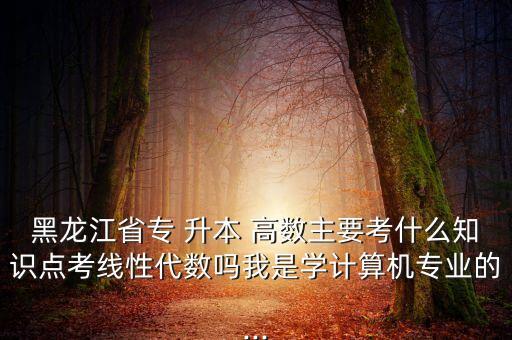 黑龍江省專 升本 高數(shù)主要考什么知識點考線性代數(shù)嗎我是學計算機專業(yè)的...