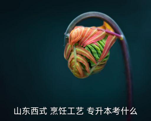 自考專升本烹飪,山西高等學府烹飪技專升本將分三個專業(yè)報考