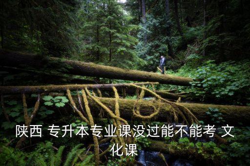 專升本補文化課,沒通過專升本考試還可考文化課?