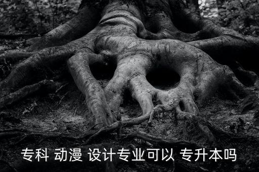?？?動漫 設計專業(yè)可以 專升本嗎