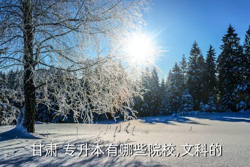  甘肅 專(zhuān)升本有哪些院校,文科的