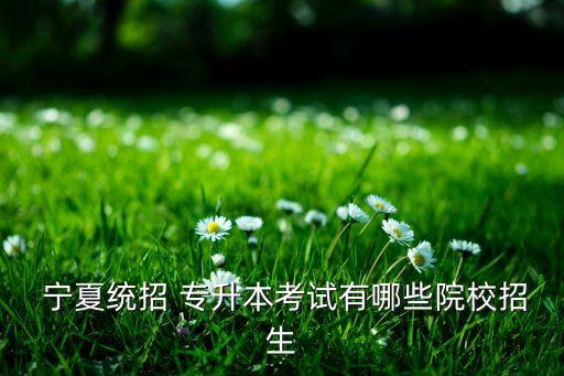 寧夏理工專升本錄取,寧夏高等學(xué)府招生計(jì)劃