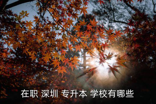深圳專升本的學(xué)校,深圳職業(yè)技術(shù)學(xué)院專升本報(bào)名網(wǎng)上進(jìn)行