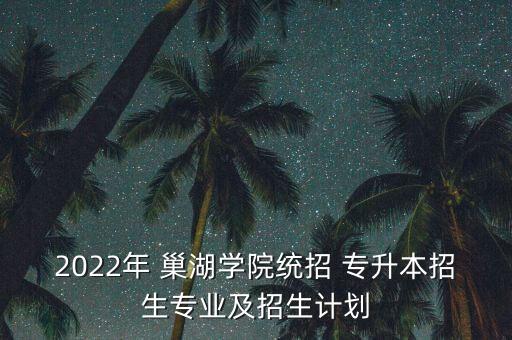 2022年 巢湖學(xué)院統(tǒng)招 專升本招生專業(yè)及招生計劃