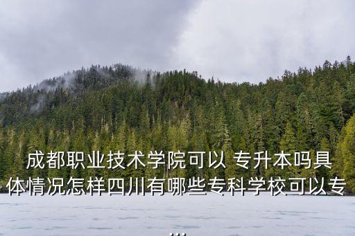 成都職業(yè)技術(shù)學(xué)院可以 專升本嗎具體情況怎樣四川有哪些?？茖W(xué)?？梢詫?..