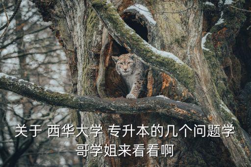 關(guān)于 西華大學 專升本的幾個問題學哥學姐來看看啊